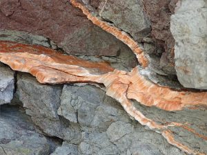 Crystal veins of satin spar gypsum in fault zone rocks