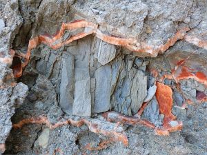 Crystal veins of satin spar gypsum in fault zone rocks
