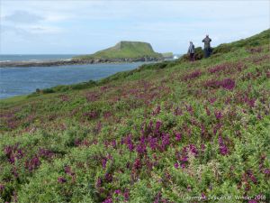 The way down to the causeway that connects Rhossili headland to the Worms Head tidal island