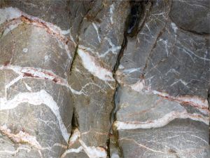 Water-worn limestone with white calcite veins on the Worms Head Causeway in Gower, South Wales.