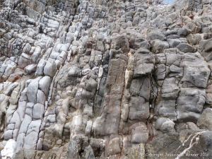 Water-worn limestone rock layers on the Worms Head Causeway in Gower, South Wales.