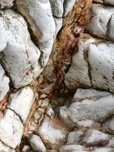 Water-worn limestone with calcite/haematite vein on the Worms Head Causeway in Gower, South Wales.