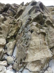 Limestone on the Worms Head Causeway