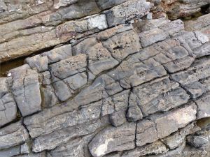 Water-worn limestone rock layers on the Worms Head Causeway in Gower, South Wales.