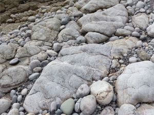 Weathered limestone rock layers on the Worms Head Causeway in Gower, South Wales.
