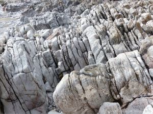 Weathered limestone rock layers on the Worms Head Causeway in Gower, South Wales.