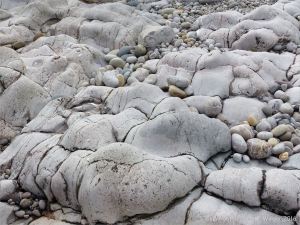Weathered limestone rock layers on the Worms Head Causeway in Gower, South Wales.
