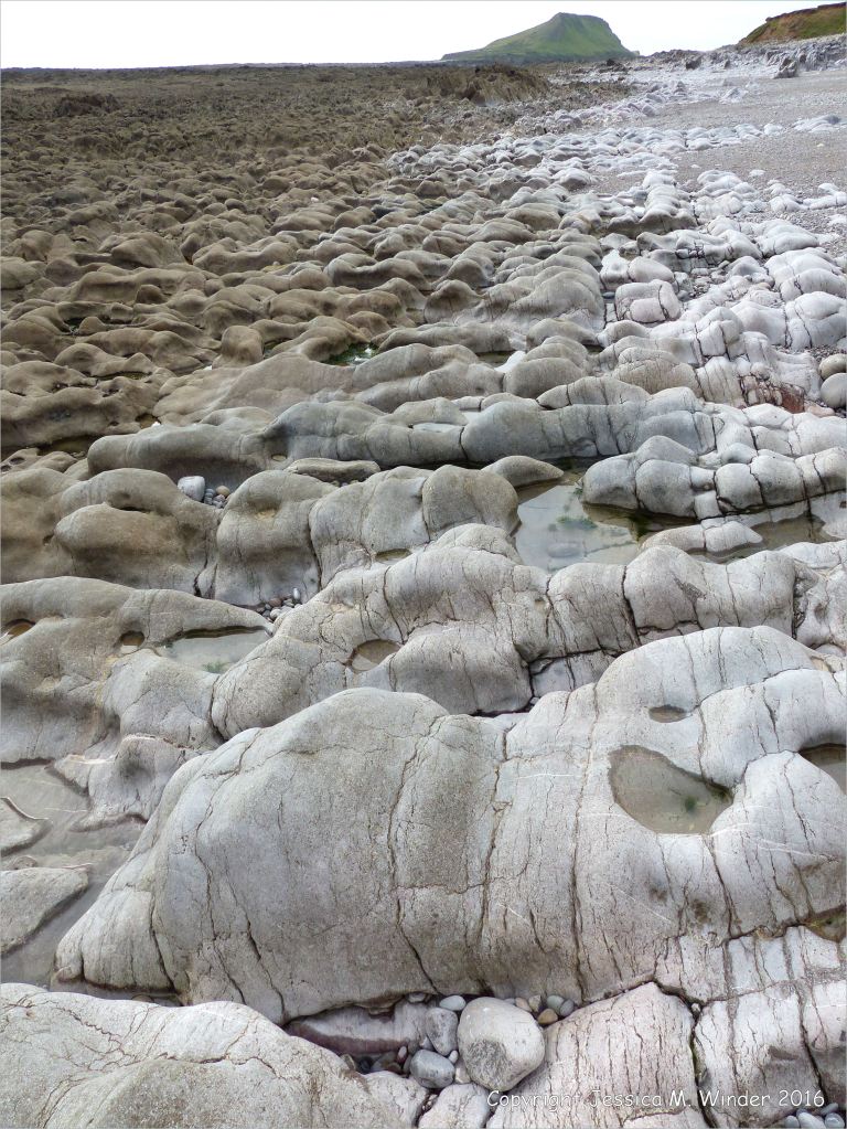 Weathered limestone rock layers on the Worms Head Causeway in Gower, South Wales.