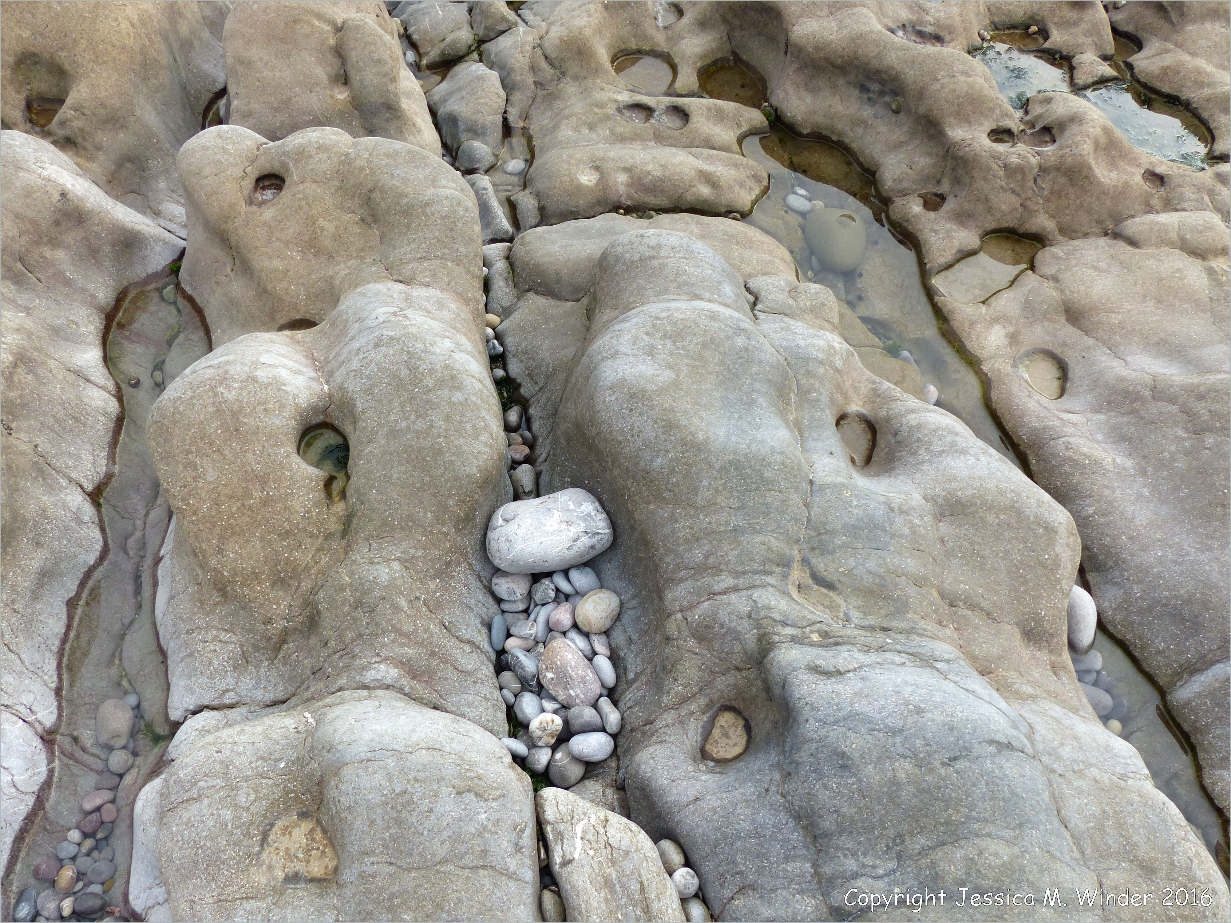 Ambergris Isle Gallery Turks and Caicos - SEPM Strata, image size:4004x3004