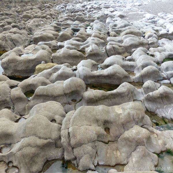 Weathered limestone rock layers on the Worms Head Causeway in Gower, South Wales.