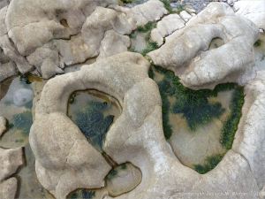 Weathered limestone rock layers on the Worms Head Causeway in Gower, South Wales.