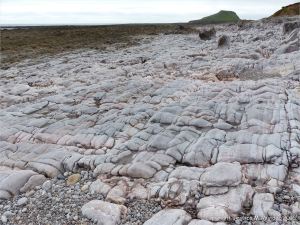 Natural sculpturing of limestone on the Worms Head Causeway in Gower, South Wales.