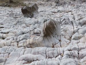 Natural sculpturing of limestone on the Worms Head Causeway in Gower, South Wales.