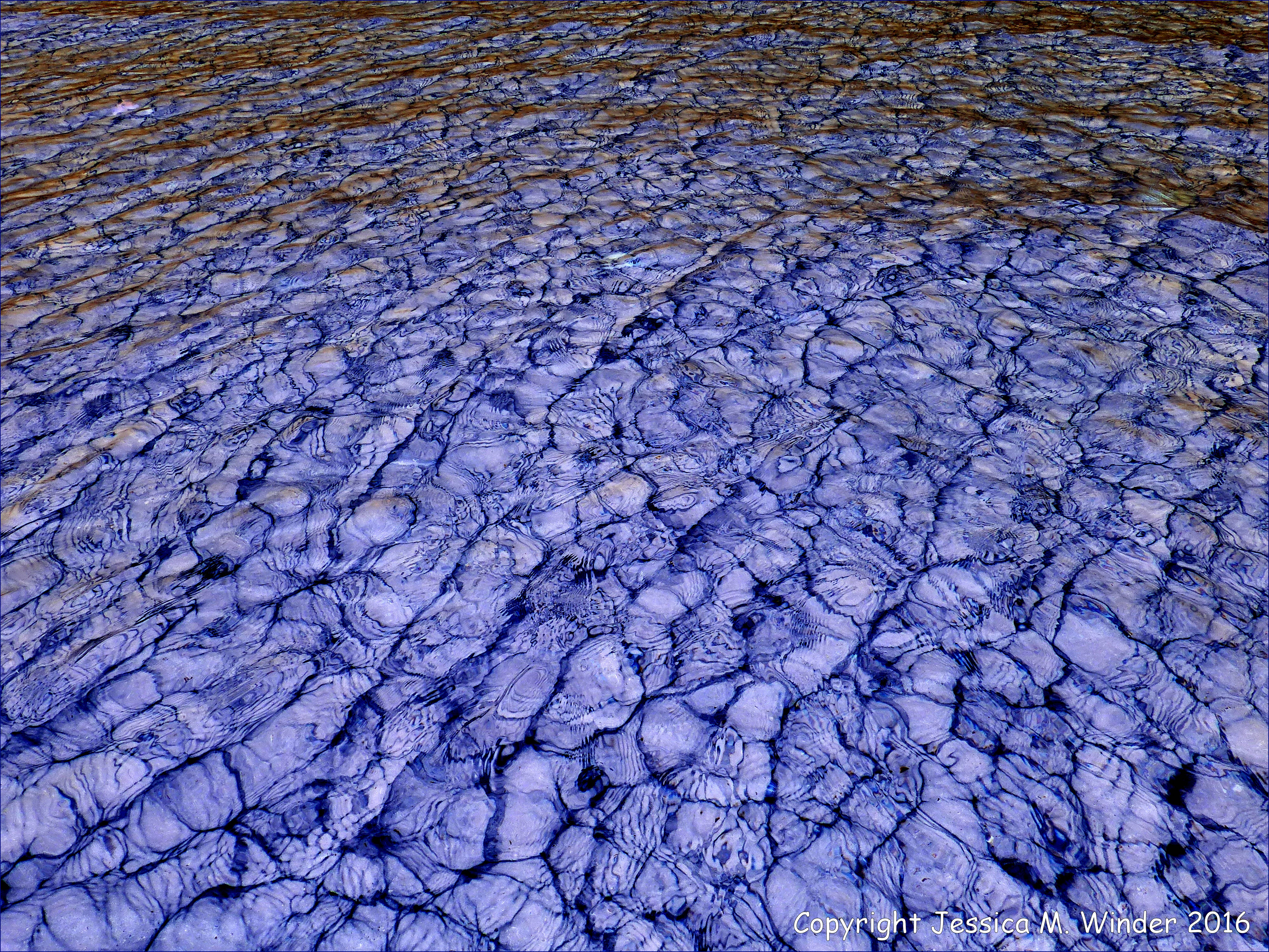 Studland Water Patterns – Jessica's Nature Blog