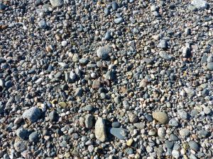 Pebbles on the beach at Rocquaine Bay