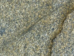Detail of rock texture from an outcrop on the beach at Rocquaine Bay