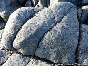 Detail of a vogesite dyke at L'Eree in the Channel Island of Guernsey