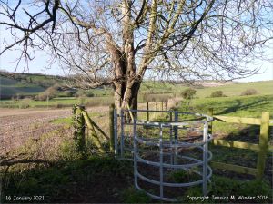 Rural view with stile in winter on the Cerne Valley Trail, Dorset, England.