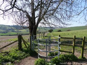 Rural view with stile in spring on the Cerne Valley Trail, Dorset, England.