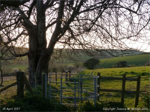 Rural view with stile in spring on the Cerne Valley Trail, Dorset, England.