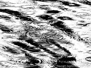 Picture of water surface disturbed by rain drops