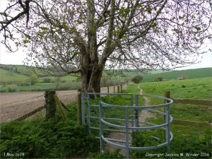Rural view with stile in spring on the Cerne Valley Trail, Dorset, England.