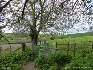 Rural view with stile in spring on the Cerne Valley Trail, Dorset, England.