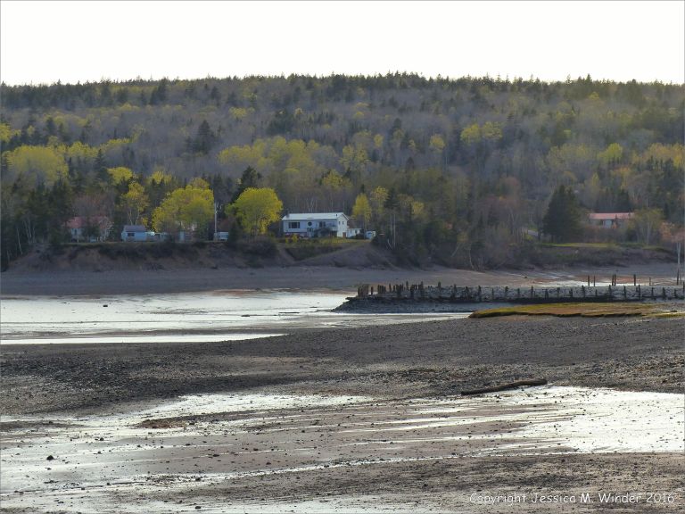 Beachscape with evening light reflected on mud at Parrsboro, Nova Scotia, Canada.