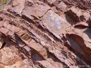 Carboniferous red beds at Wasson Bluff
