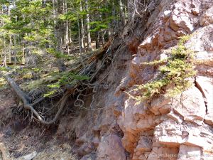 Carboniferous red beds at Wasson Bluff