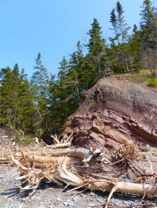 Carboniferous red beds at Wasson Bluff