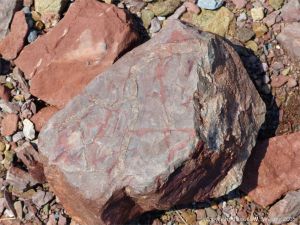Triassic-Jurassic Blomidon Formation rocks at Wasson Bluff