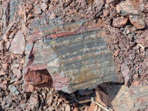 Triassic-Jurassic Blomidon Formation rocks at Wasson Bluff