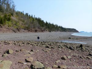 Looking east across the shore at Wasson Bluff