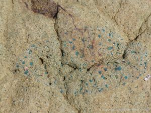 Jurassic North Mountain Basalt boulder at Wasson Bluff