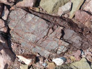 Triassic-Jurassic Blomidon Formation rock at Wasson Bluff