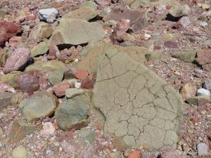 Jurassic North Mountain Basalt boulder at Wasson Bluff