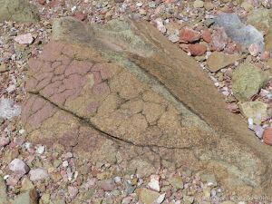 Jurassic North Mountain Basalt boulder at Wasson Bluff