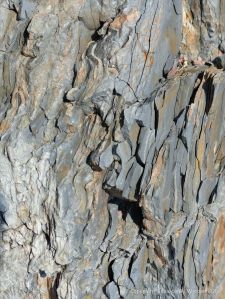 Triassic to Jurassic Blomidon Formation rocks at Wasson Bluff