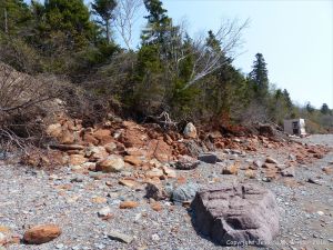 View looking eastwards from Wasson Bluff with red Jurassic McCoy Brook Formation