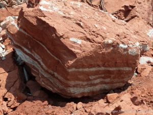 Red and white striped Jurassic McCoy Brook Formation rocks east of Wasson Bluff