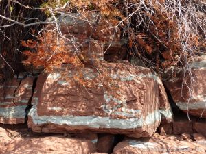 Red and white striped Jurassic McCoy Brook Formation rocks east of Wasson Bluff