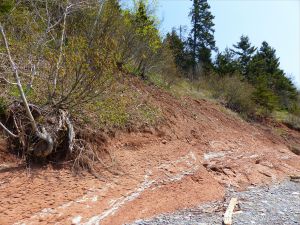 Jurassic McCoy Brook Formation rocks east of Wasson Bluff