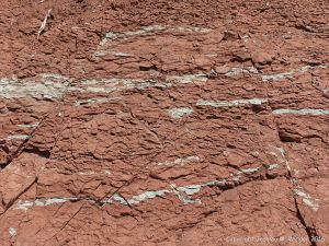 Jurassic McCoy Brook Formation rocks east of Wasson Bluff