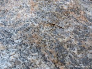 Close-up of natural rock texture and pattern