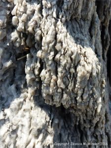 Close-up of natural rock texture and pattern