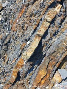 Close-up of natural rock texture and pattern