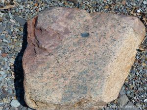 Boulder on the beach from the fault zone at Clarke Head, Nova Scotia, Canada.