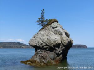 Sea stack just off-shore at Clarke Head, Nova Scotia, Canada.