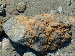 Boulder on the beach from the fault zone at Clarke Head, Nova Scotia, Canada.